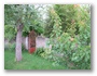 seitlicher Obstgarten